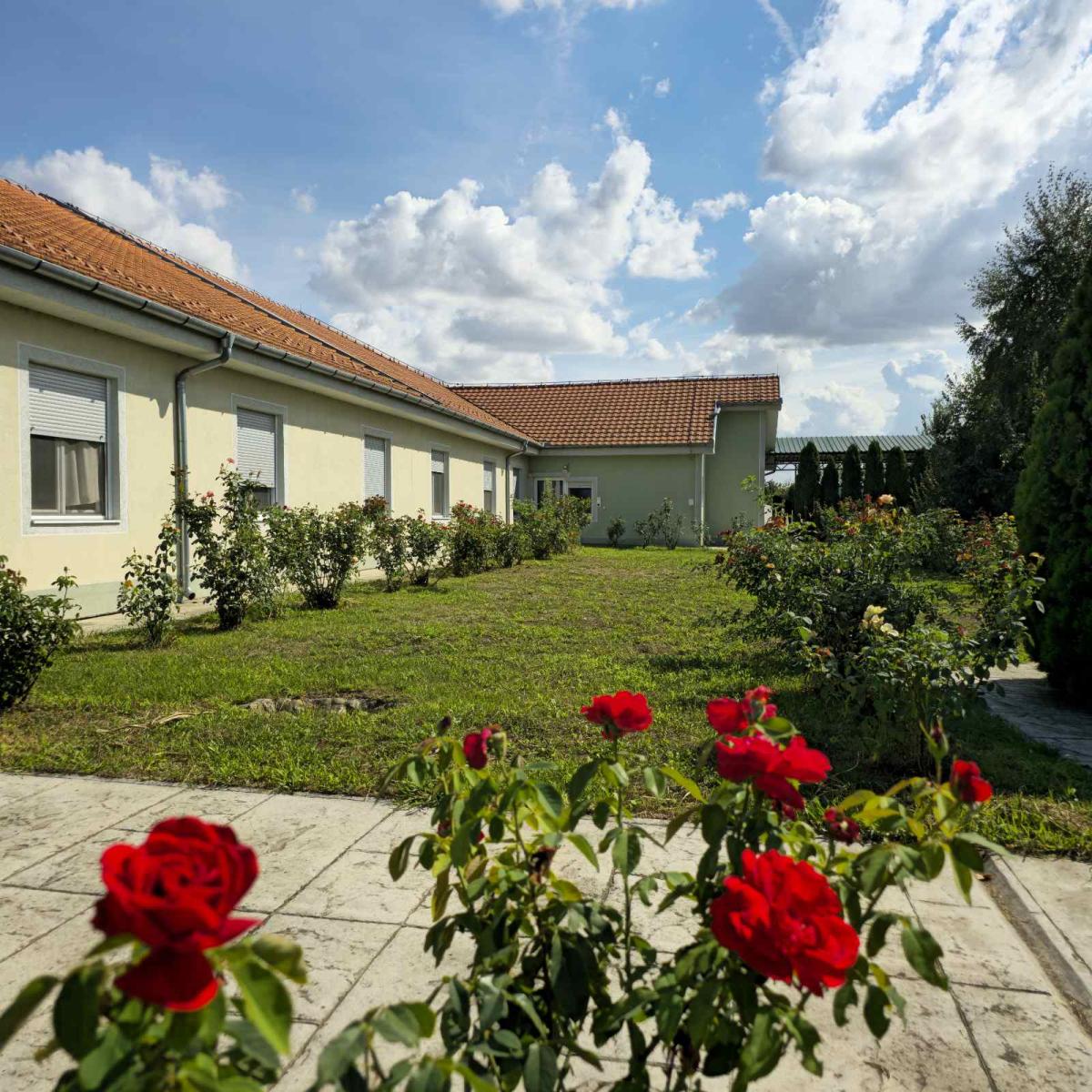 Dom Gold Star i njegovo okruženje